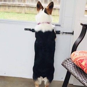 Meet your Posher, Cece